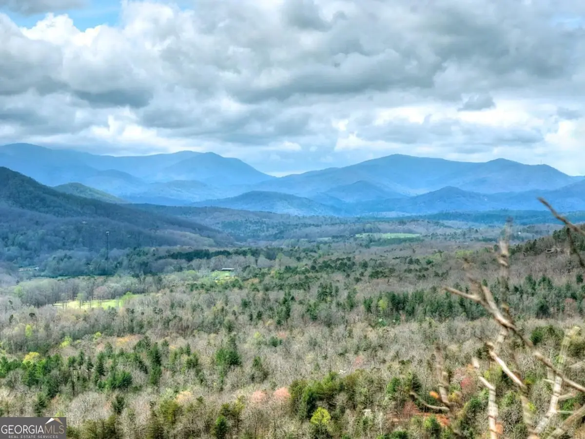 LOT 29 Forest Drive, Morganton, GA 30560 - #1