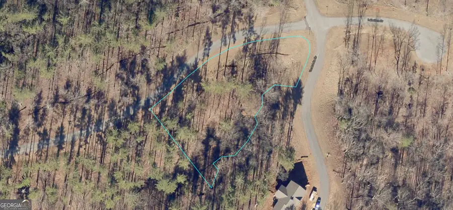 LOT 73 Leisure Mountain Trail, Sautee Nacoochee, GA 30571 - #2