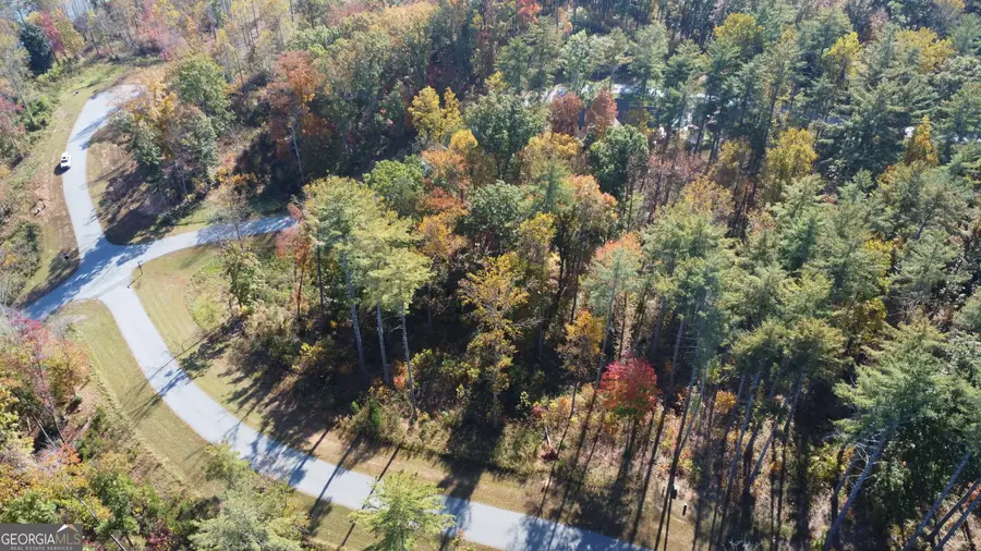 LOT 73 Leisure Mountain Trail, Sautee Nacoochee, GA 30571 - #3