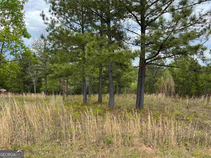 LOT 65 Village Loop, Blairsville, GA 30512 - #2