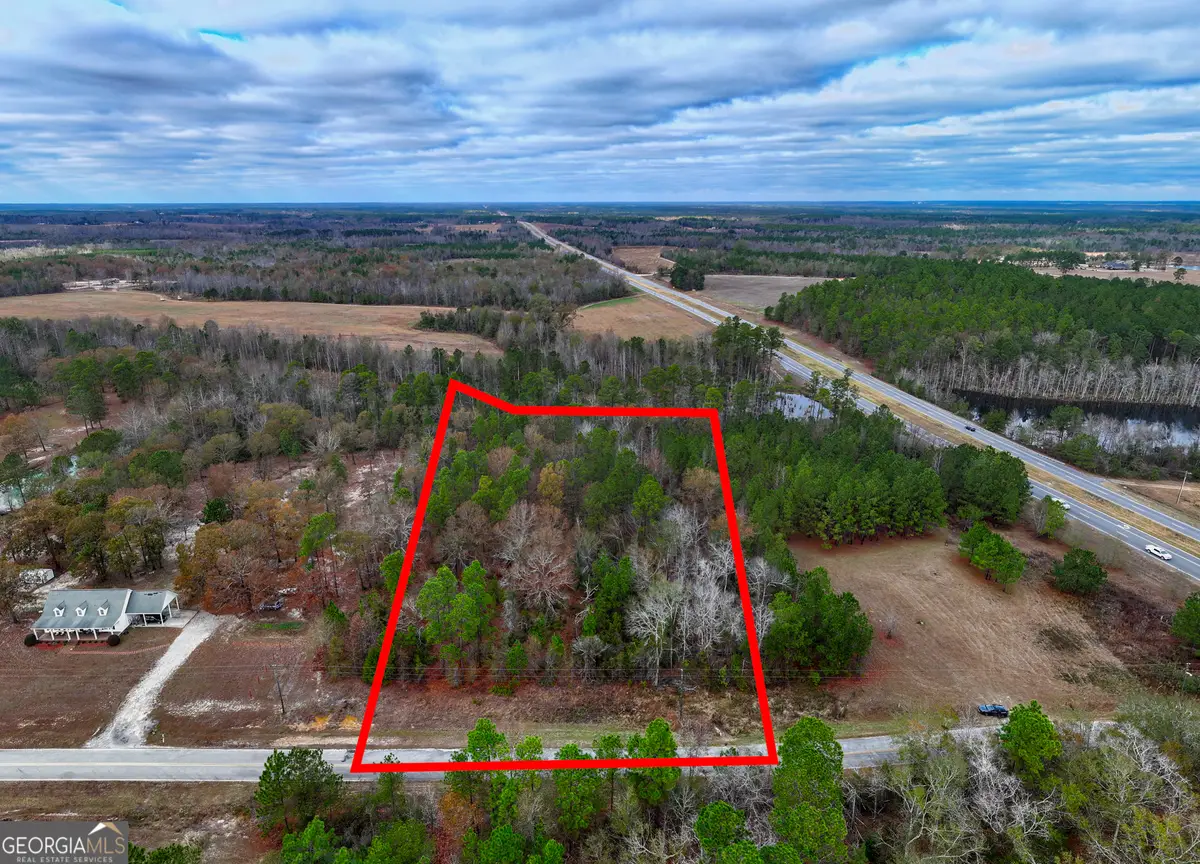 4 ACRES Carlton Road, Garfield, GA 30425 - #1