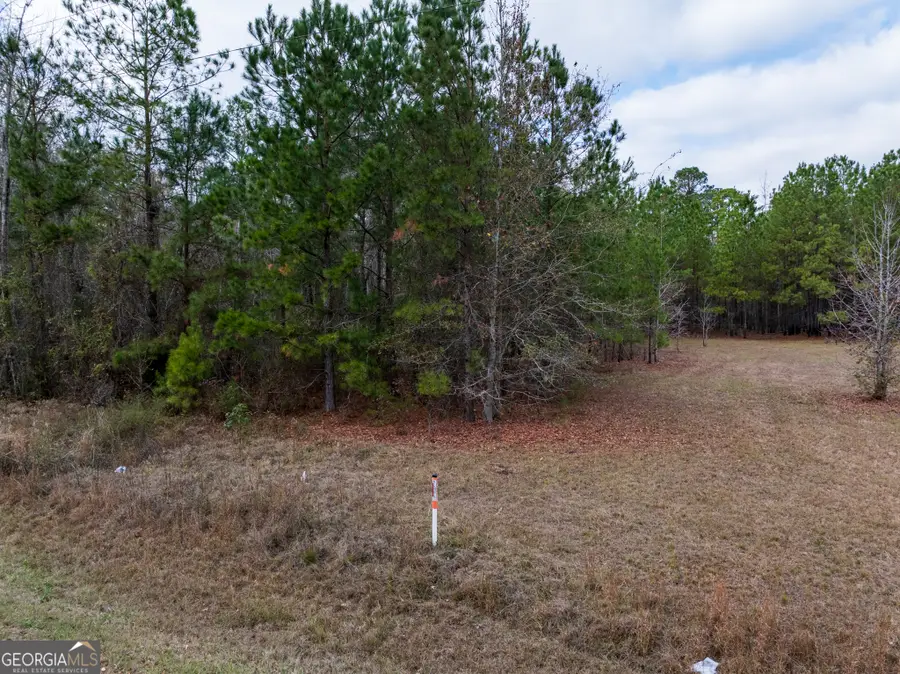 4 ACRES Carlton Road, Garfield, GA 30425 - #2