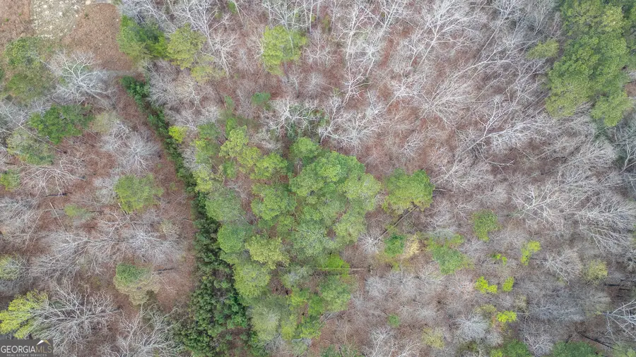 0 Castleberry Road, Lafayette, GA 30728 - #2