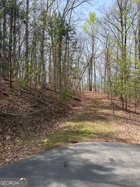 0 Brumby Run #8, Blairsville, GA 30512 - #2