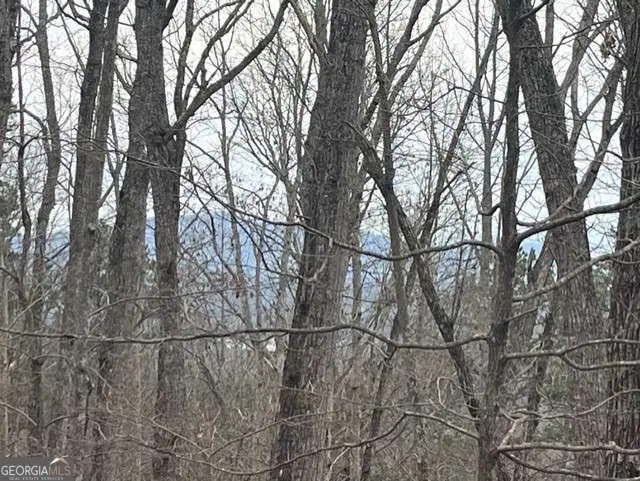 0 Brumby Run #8, Blairsville, GA 30512 - #3