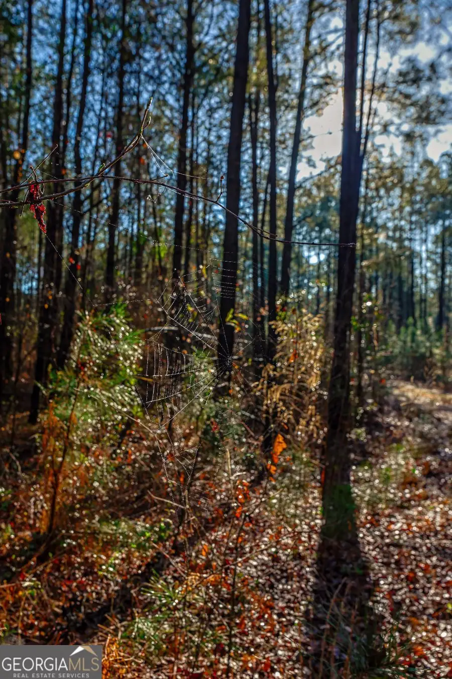 0 Highway 22 Highway N, Sparta, GA 31087 - #3