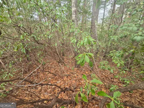 35 Vienna Ring, Helen, GA 30545