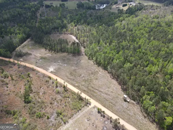 0 Old Dellwood Road, Swainsboro, GA 30401