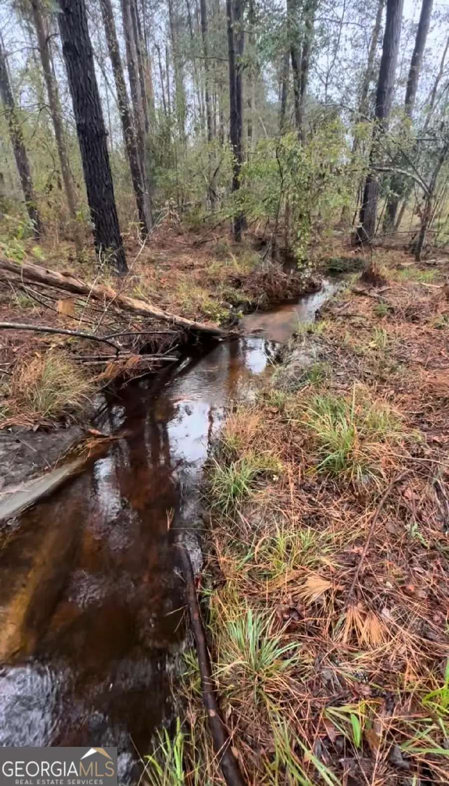 0 Old Dellwood Road, Swainsboro, GA 30401 - #3