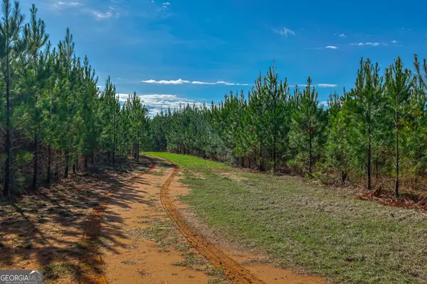 0 Island Creek Rd., Sparta, GA 31087