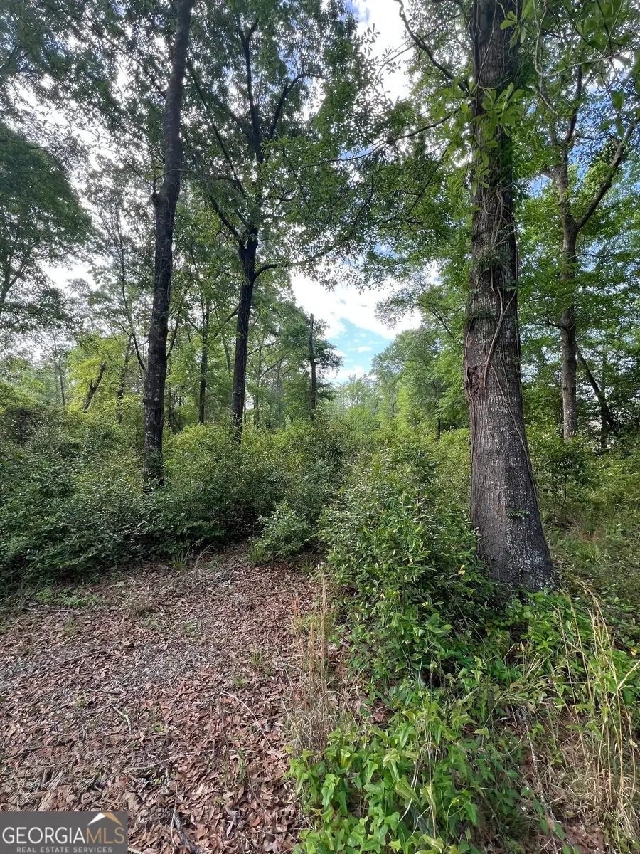 0 Cork Ferry Road, Cordele, GA 31015 - #2