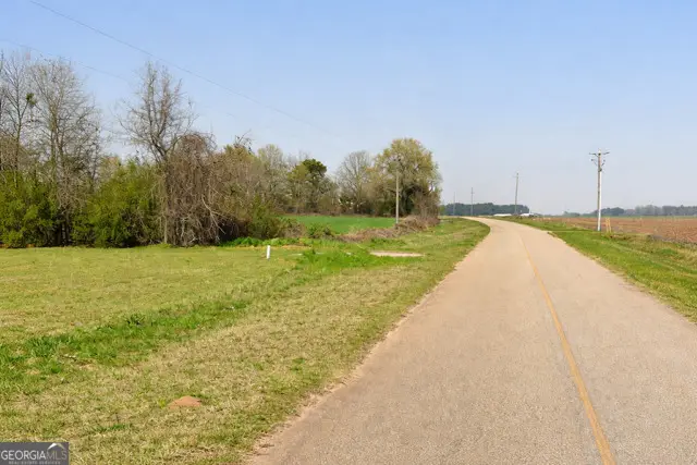 2160 Donald Cobb Road, Bartow, GA 30413 - #3