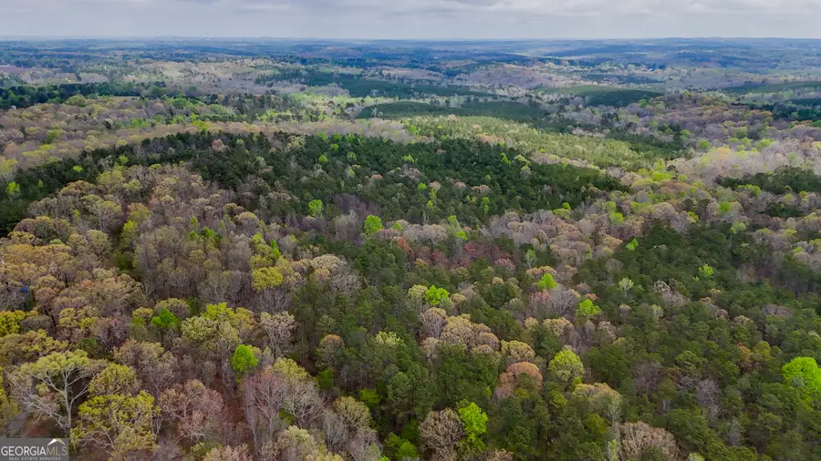 78 ACRES Cross Plains Rd Road, Carrollton, GA 30116 - #3