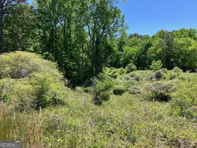 4038 W Mcintosh Road, Griffin, GA 30223 - #2
