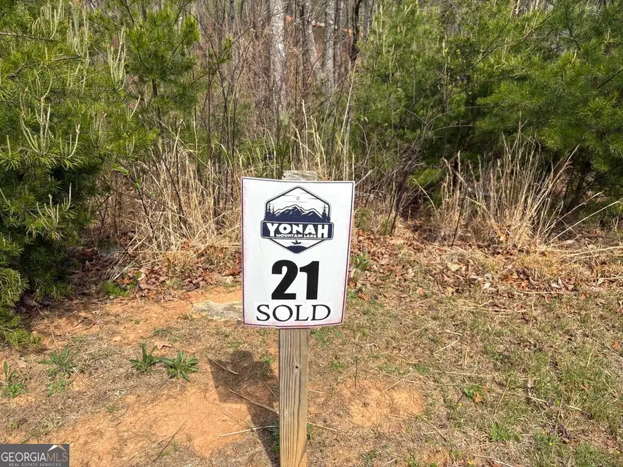 21 Yonah Lake Drive, Sautee Nacoochee, GA 30571 - #2