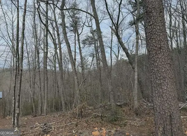 TRACT B2 Mountain Ridge #TRCTB-2, Blue Ridge, GA 30513