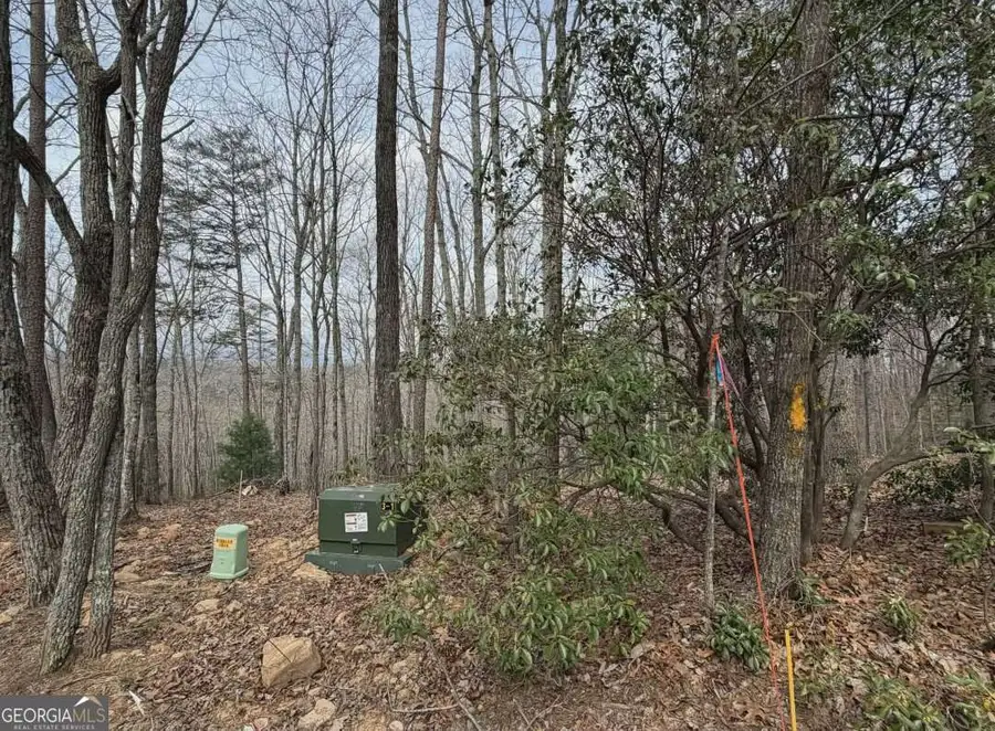 TRACT B2 Mountain Ridge #TRCTB-2, Blue Ridge, GA 30513 - #2