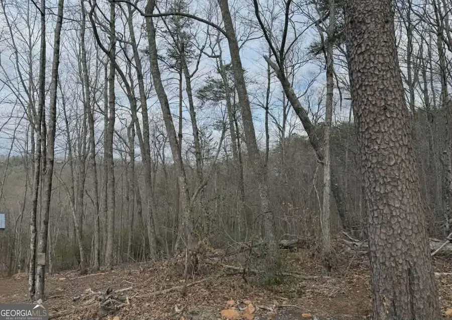 TRACT B2 Mountain Ridge #TRCTB-2, Blue Ridge, GA 30513 - #3