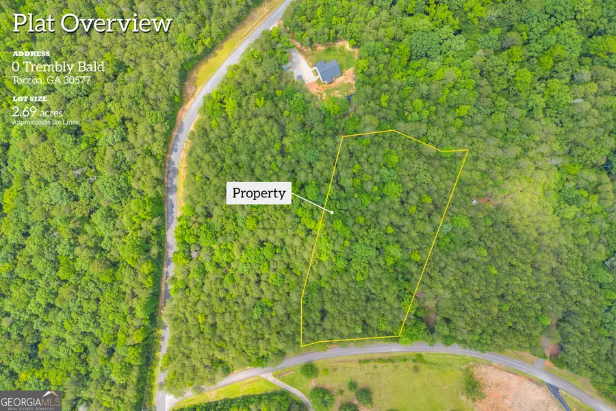 0 Trembly Bald Road, Toccoa, GA 30577 - #2