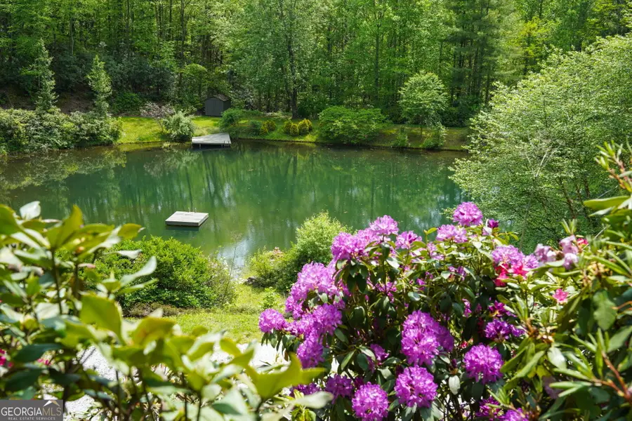 115 Dam Lake Drive, Dillard, GA 30537 - #3