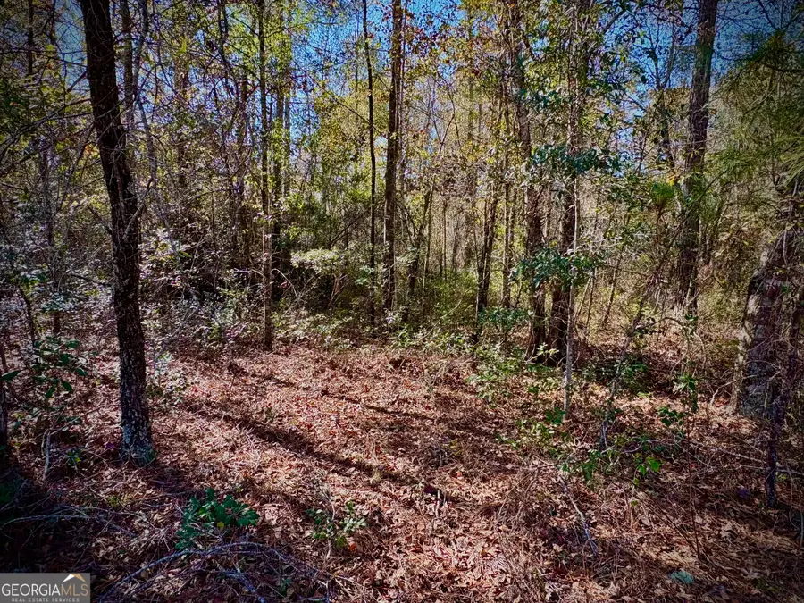 1310 Outlaw Grove Way, Soperton, GA 30457 - #3