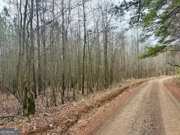 0 County Road 670, ranburne, AL 36273