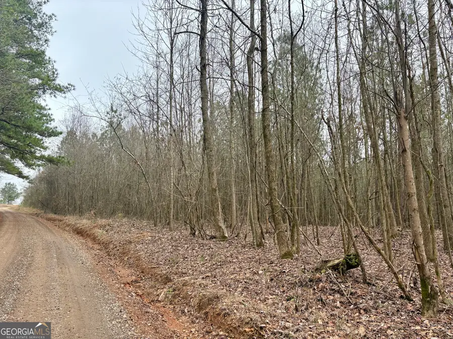 0 County Road 670, Ranburne, AL 36273 - #2