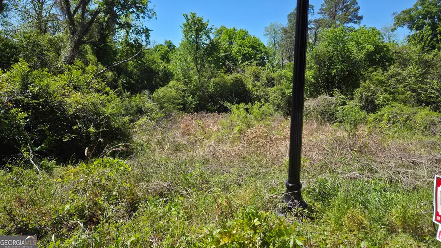 2150 Sycamore Street, Macon, GA 31204 - #3