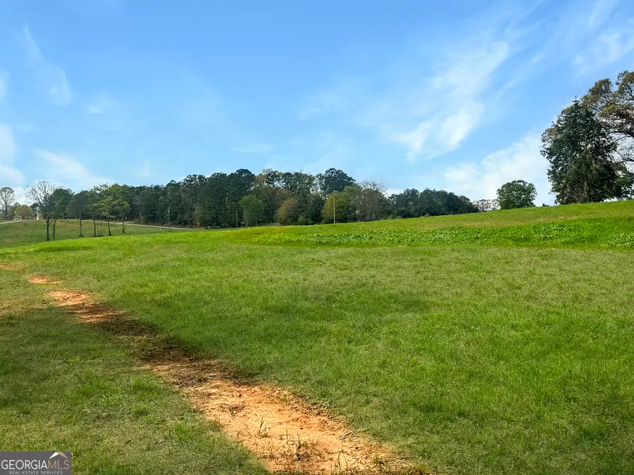 0 Gooseneck Road, Eastanollee, GA 30538 - #3
