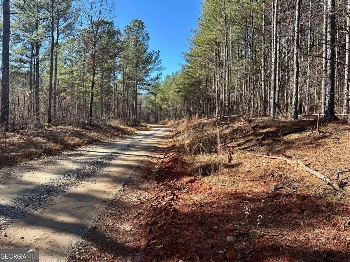 1107 Larmon Forks Road, Dahlonega, GA 30533 - #1