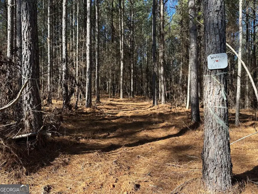 1107 Larmon Forks Road, Dahlonega, GA 30533 - #3