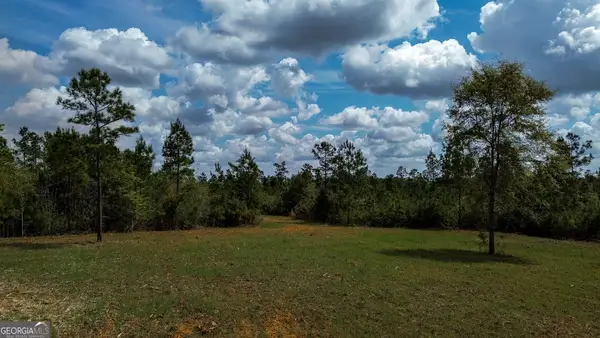 1 Harrell Road, Parrott, GA 39877