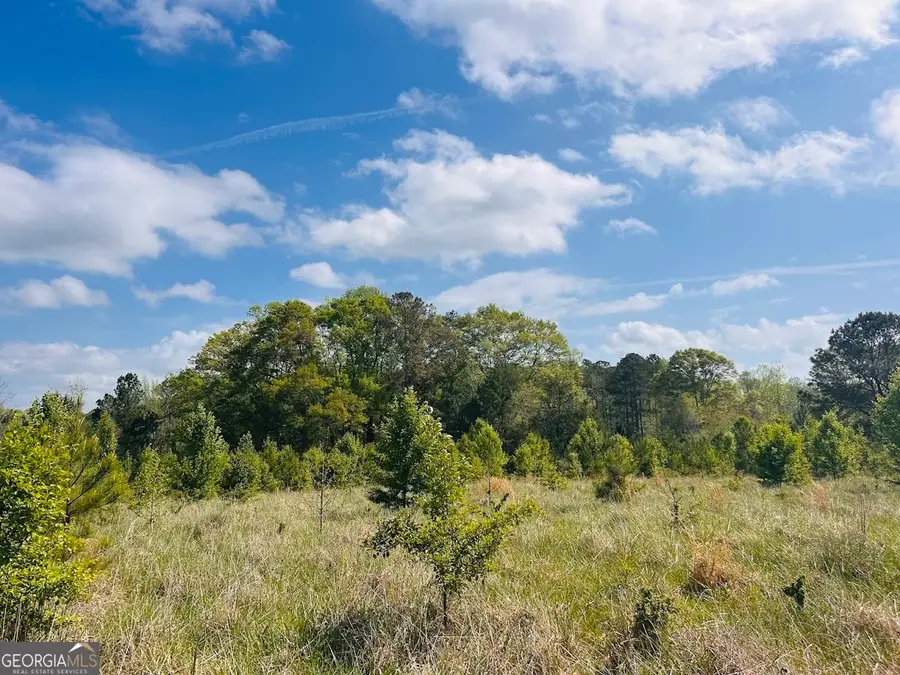 0 Collier Road #TRACT 1, Concord, GA 30206 - #3