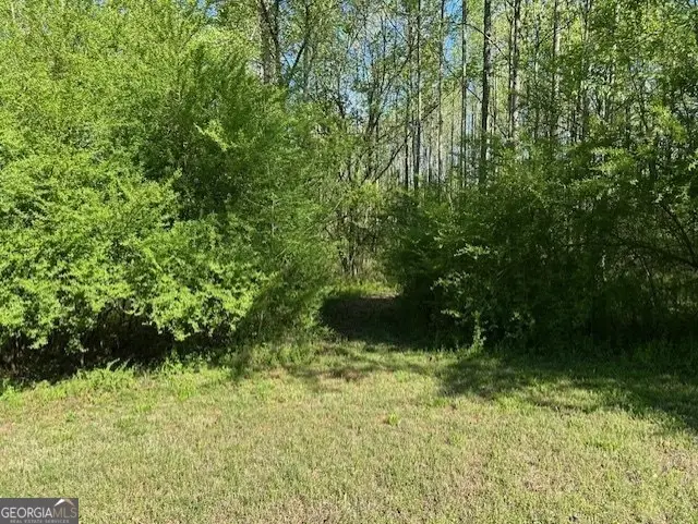 0 Glade Rocks Springs Road, Clarkesville, GA 30523 - #2