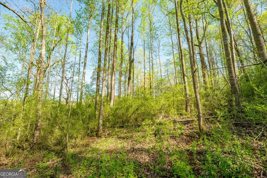 0 Glade Rocks Springs Road, Clarkesville, GA 30523 - #3