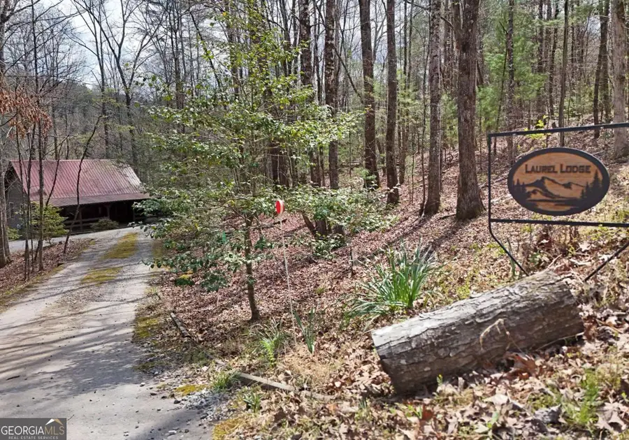 545 Laurel Circle, Blue Ridge, GA 30513 - #3