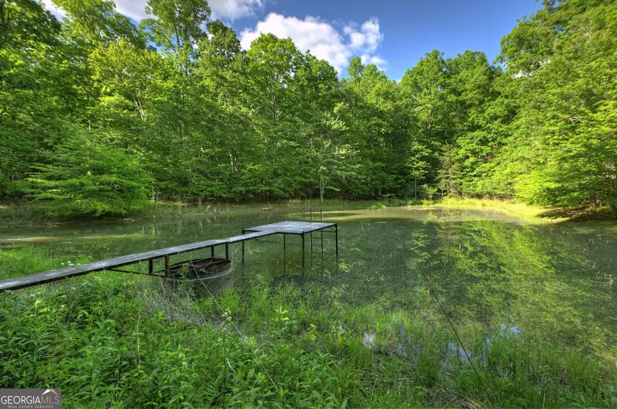 8 AC Mcnelley Road, Morganton, GA 30560 - #3