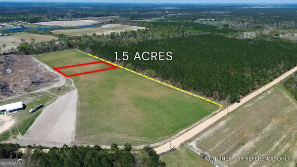 TRACT 3 - 112 Seahorse Road, Alma, GA 31510