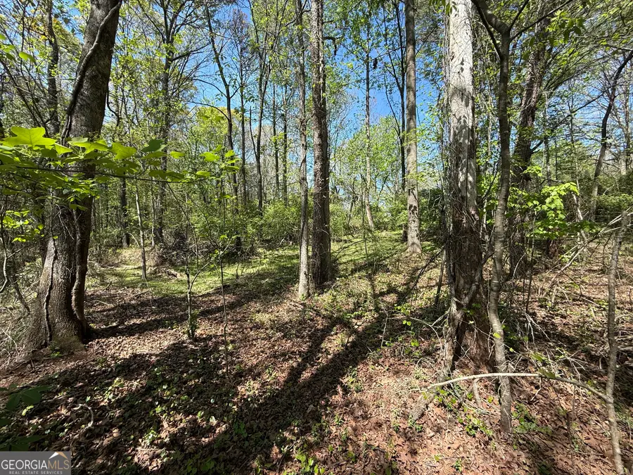 0 Panhandler Circle (2b), Maysville, GA 30558 - #3