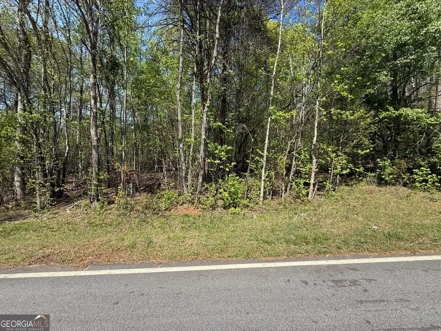 0 Panhandler Circle (2c), Maysville, GA 30558 - #3