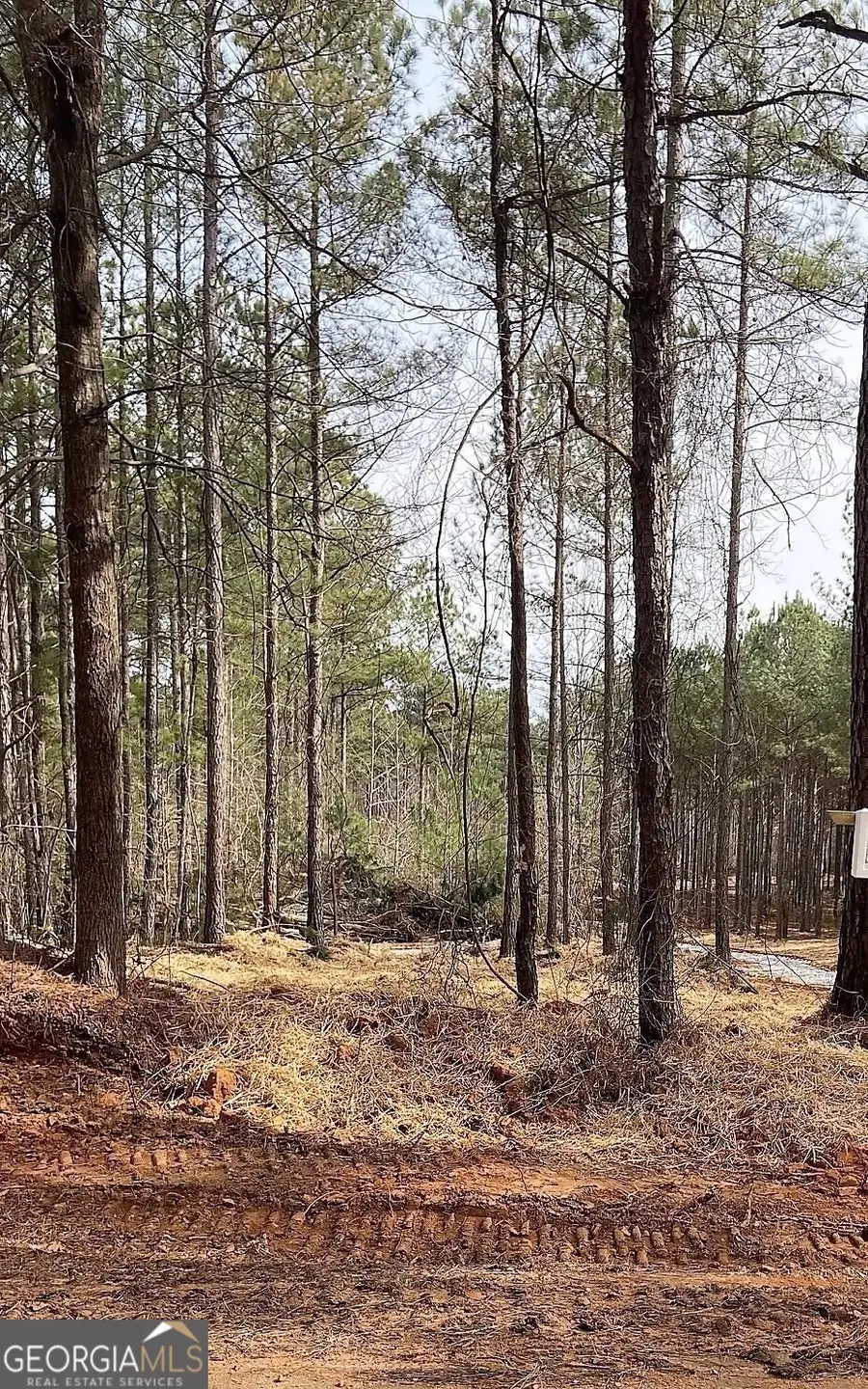LOT 4 Jaxon Path, Dallas, GA 30157 - #2