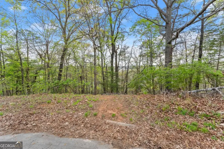 2517 Thompson Overlook, Gainesville, GA 30506 - #2
