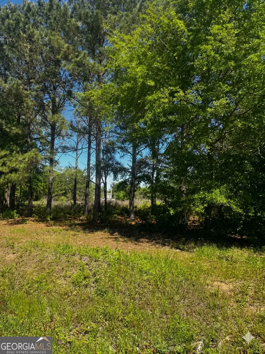 146 Arlington Drive, Americus, GA 31709 - #2