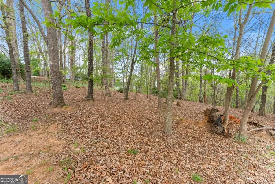 2527 Thompson Ovlk, Gainesville, GA 30506 - #2
