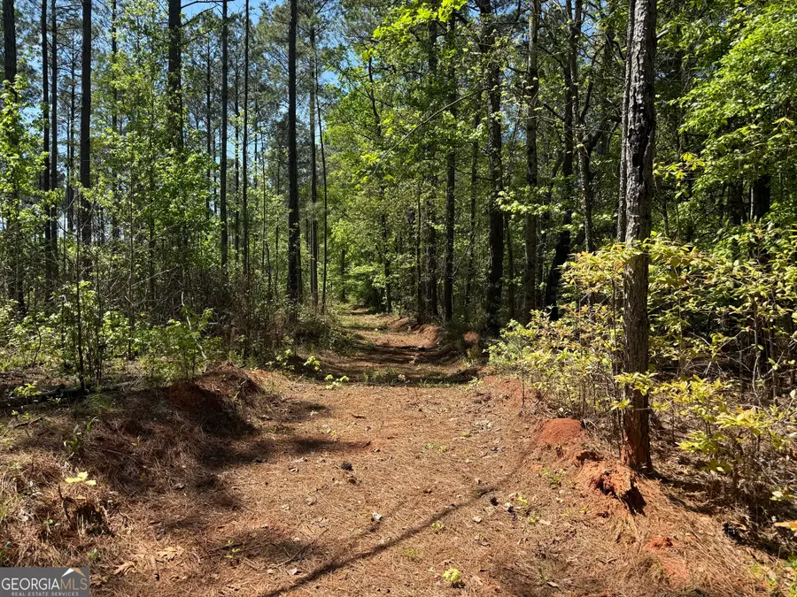 19.74 ACRES Davis Lake Road, Pine Mountain, GA 31822 - #2