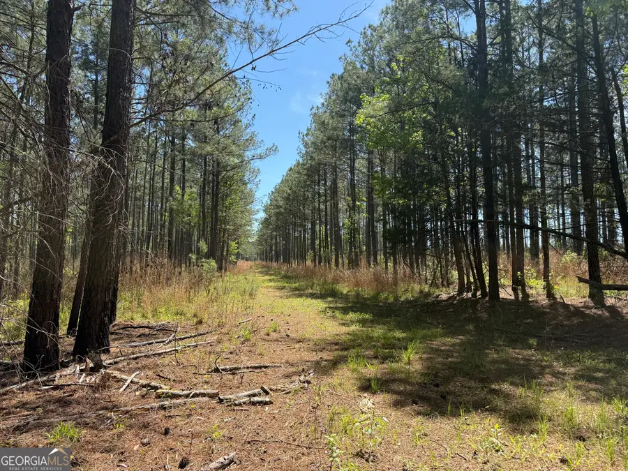 19.74 ACRES Davis Lake Road, Pine Mountain, GA 31822 - #3