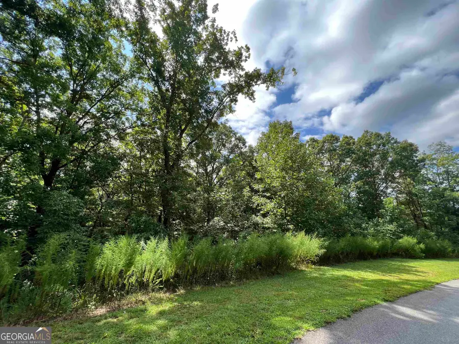 LOT 187 Northshore Drive, Cleveland, GA 30528 - #2