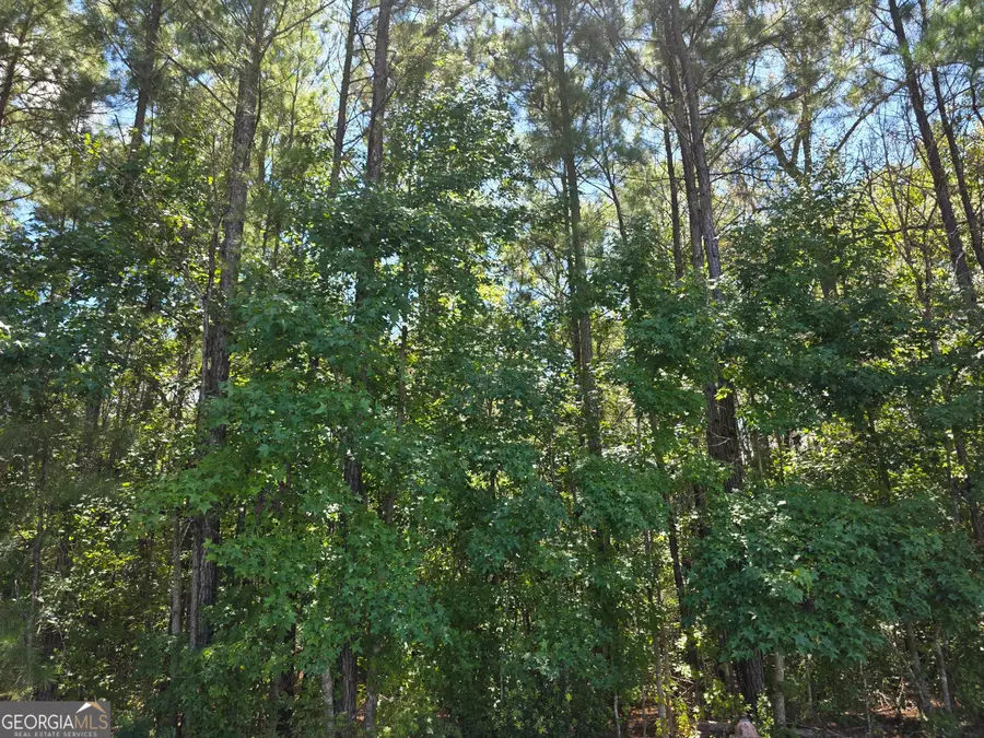 LOT 143 Canopy Lane, Waverly, GA 31565 - #2