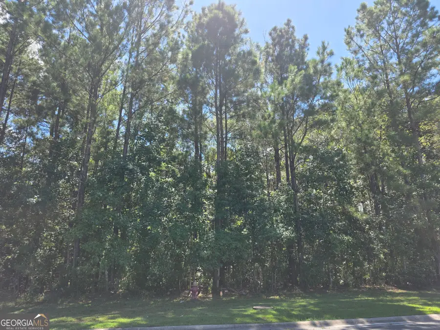 LOT 143 Canopy Lane, Waverly, GA 31565 - #3