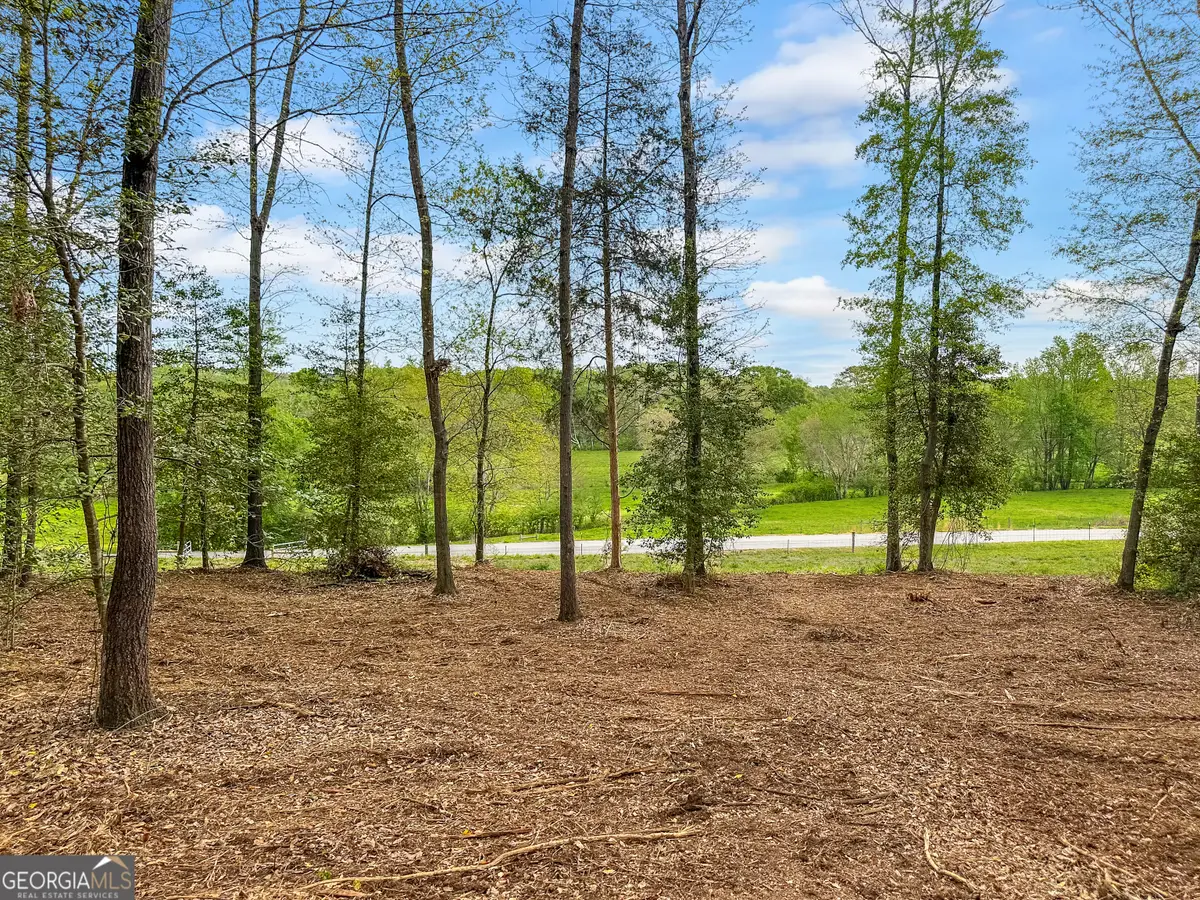 101 Broad River Rd Road #LOT 7, Eastanollee, GA 30538 - #1